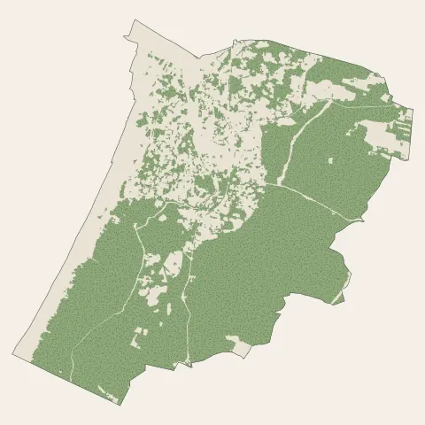 Capbreton : bois, forêts et landes