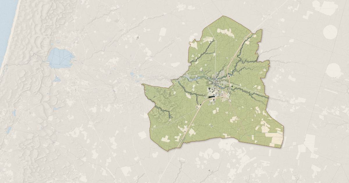 Portrait cartographique de Castets : relief, eau, forêts, bâti et voies, calculés à partir des données de l'IGN