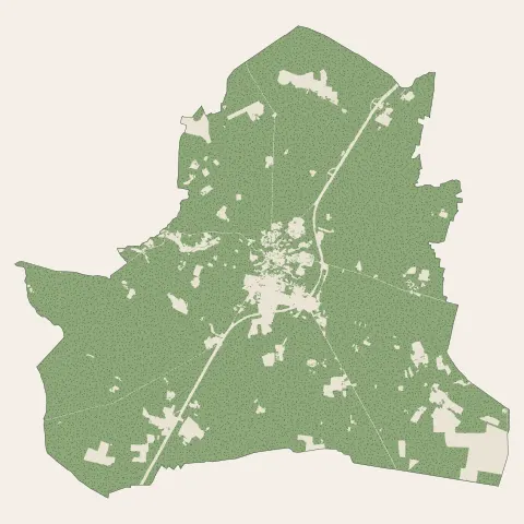 Castets : bois, forêts et landes