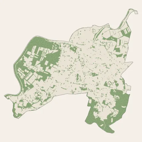 Dax : bois, forêts et landes