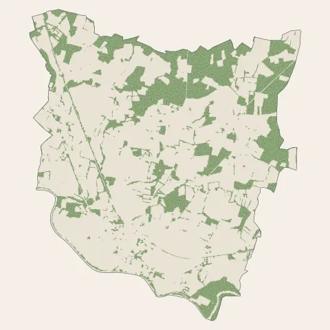 Grenade-sur-l'Adour : bois, forêts et landes