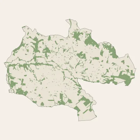 Hagetmau : bois, forêts et landes