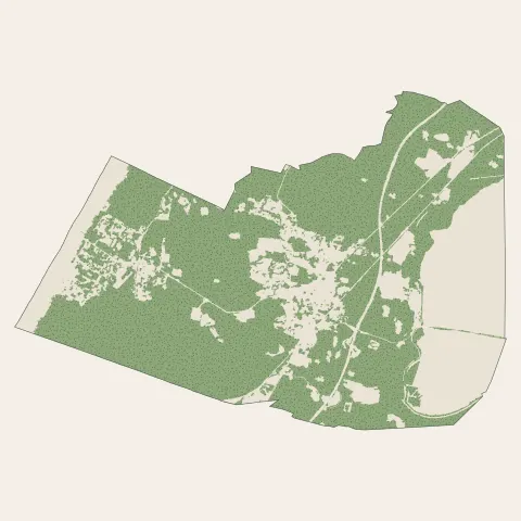 Labenne : bois, forêts et landes