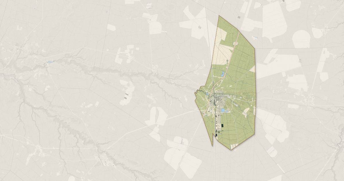 Portrait cartographique de Labouheyre : relief, eau, forêts, bâti et voies, calculés à partir des données de l'IGN