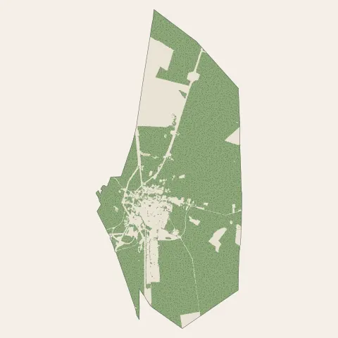 Labouheyre : bois, forêts et landes