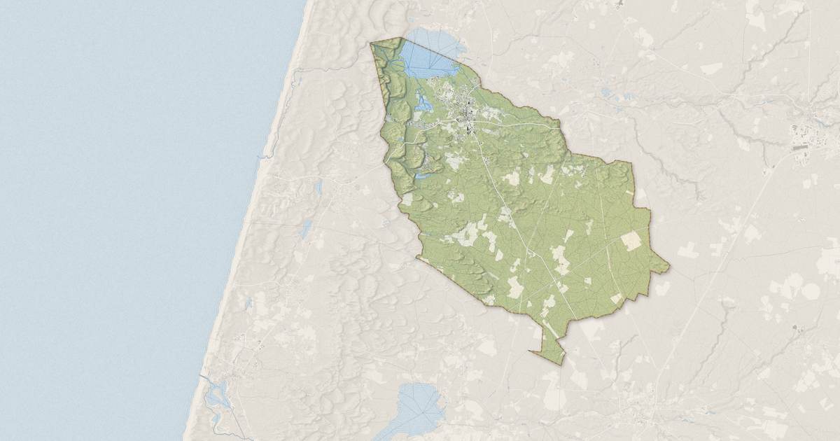 Portrait cartographique de Léon : relief, eau, forêts, bâti et voies, calculés à partir des données de l'IGN