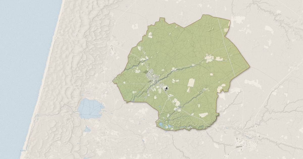 Portrait cartographique de Linxe : relief, eau, forêts, bâti et voies, calculés à partir des données de l'IGN