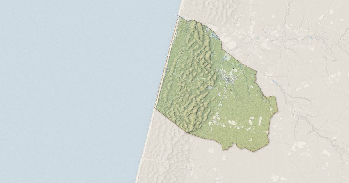 Portrait cartographique de Lit-et-Mixe : relief, eau, forêts, bâti et voies, calculés à partir des données de l'IGN