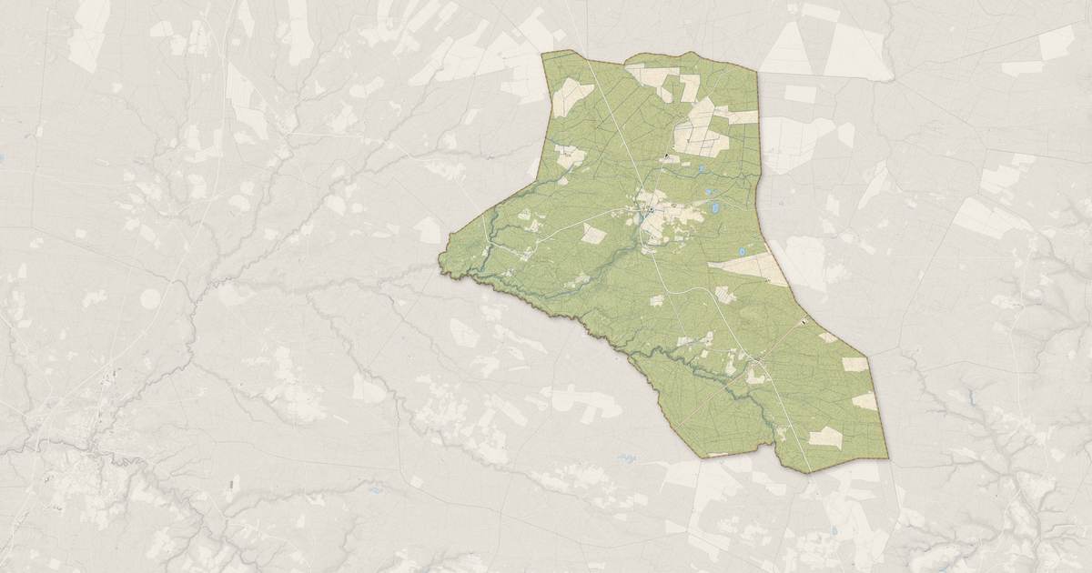 Portrait cartographique de Losse : relief, eau, forêts, bâti et voies, calculés à partir des données de l'IGN