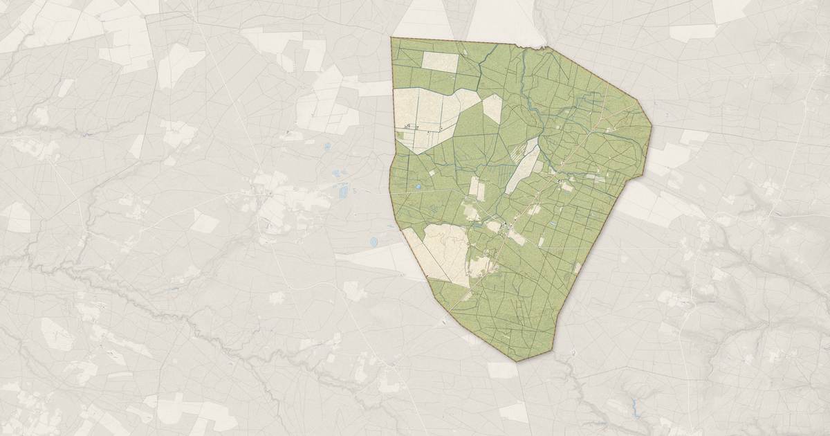 Portrait cartographique de Lubbon : relief, eau, forêts, bâti et voies, calculés à partir des données de l'IGN