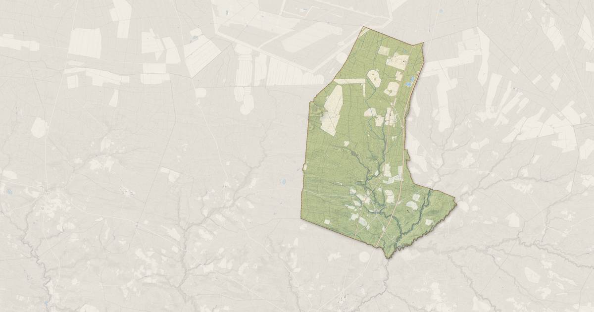 Portrait cartographique de Retjons : relief, eau, forêts, bâti et voies, calculés à partir des données de l'IGN