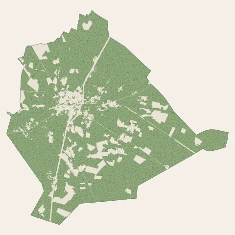 Magescq : bois, forêts et landes