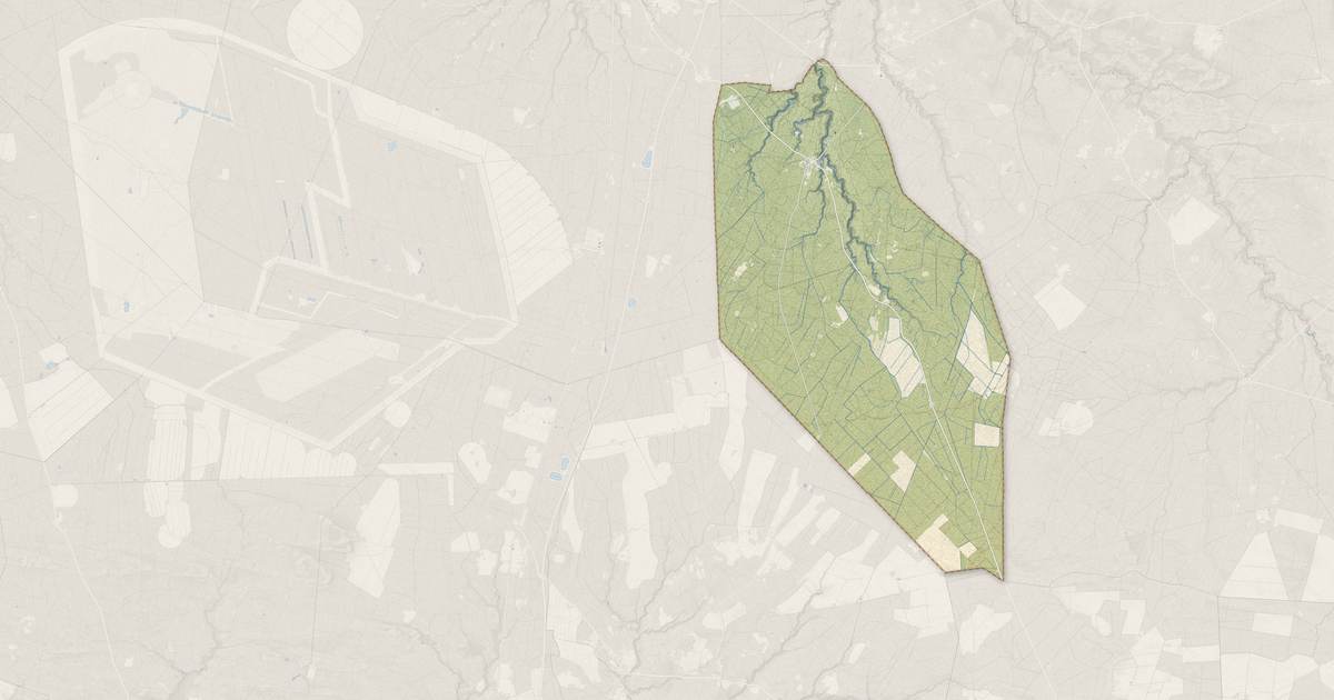 Portrait cartographique de Maillas : relief, eau, forêts, bâti et voies, calculés à partir des données de l'IGN