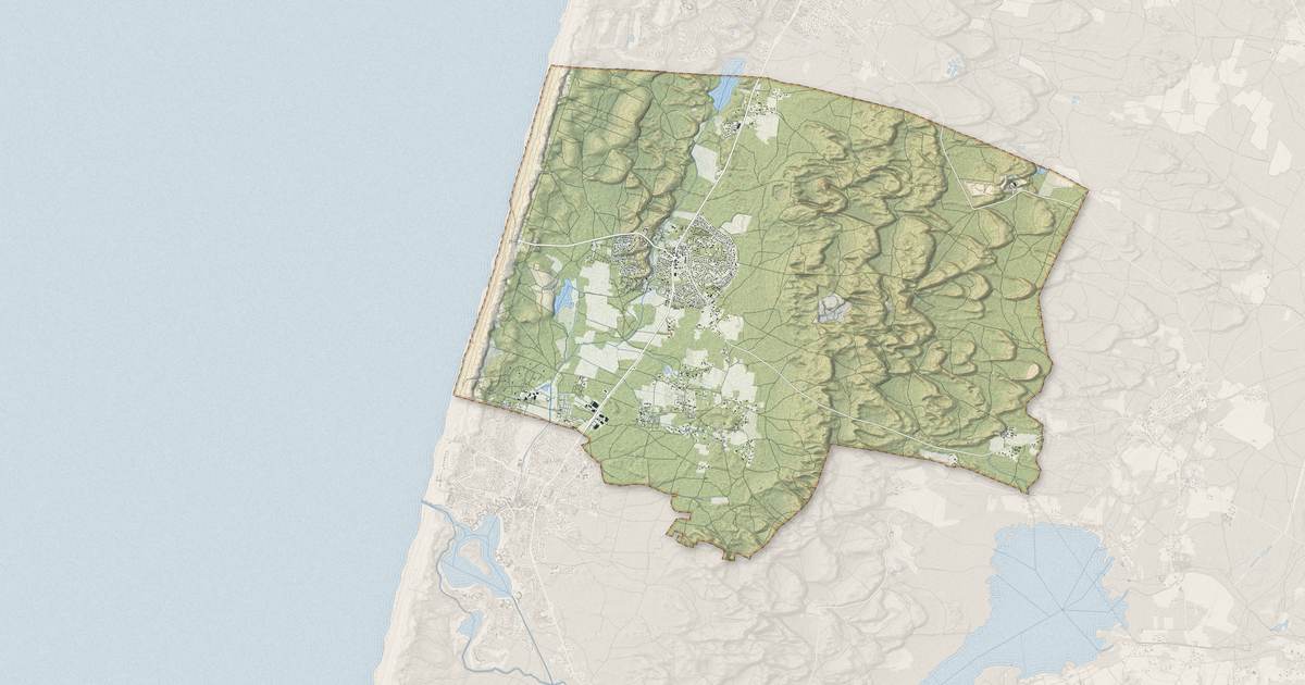 Portrait cartographique de Messanges : relief, eau, forêts, bâti et voies, calculés à partir des données de l'IGN