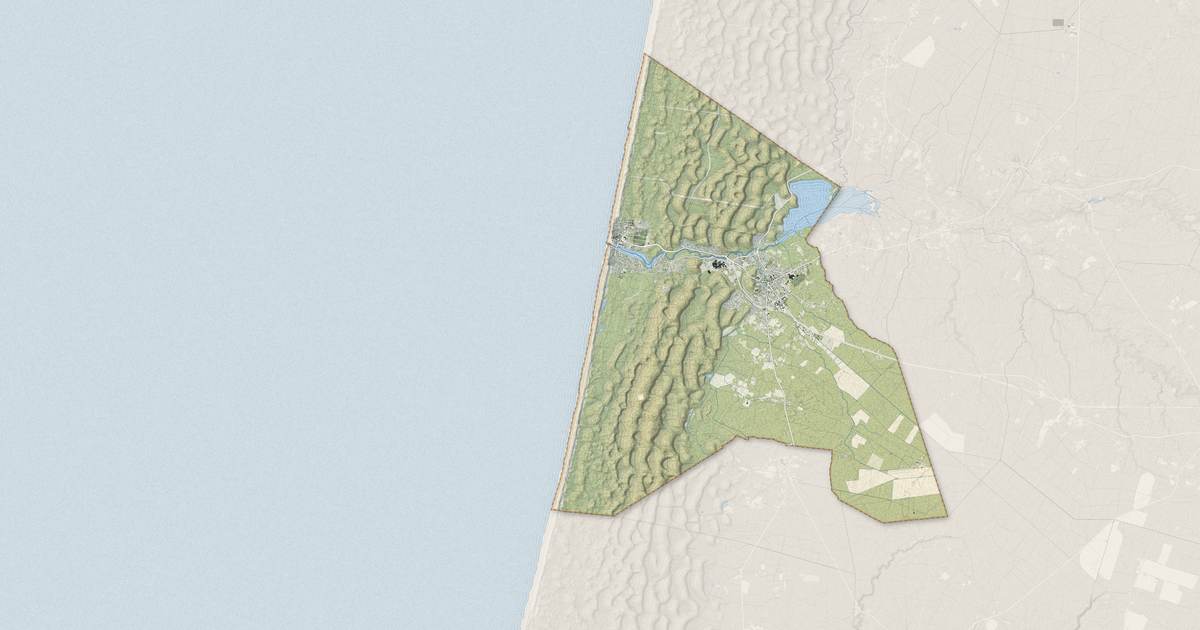 Portrait cartographique de Mimizan : relief, eau, forêts, bâti et voies, calculés à partir des données de l'IGN