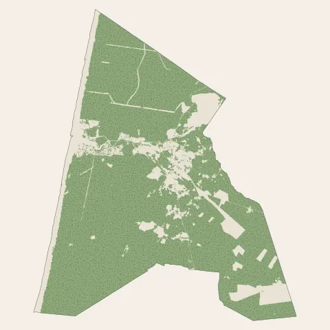 Mimizan : bois, forêts et landes
