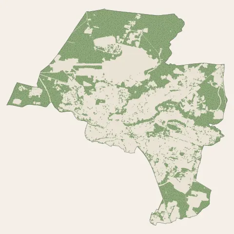 Mont-de-Marsan : bois, forêts et landes