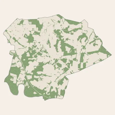 Narrosse : bois, forêts et landes