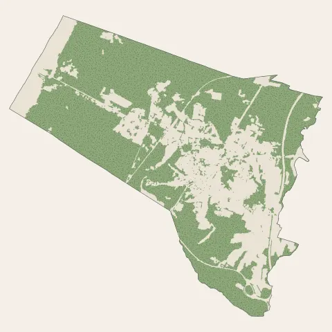 Ondres : bois, forêts et landes