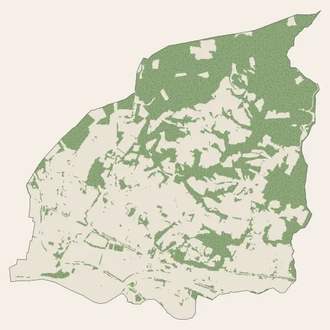 Peyrehorade : bois, forêts et landes