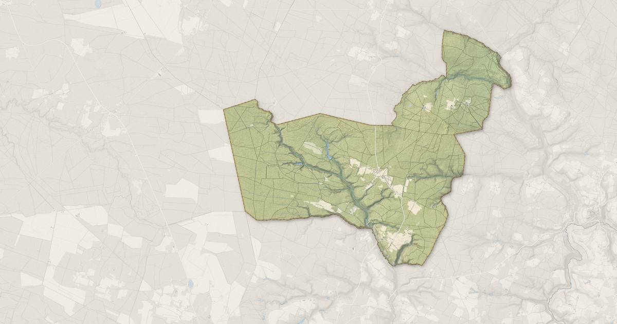Portrait cartographique de Rimbez-et-Baudiets : relief, eau, forêts, bâti et voies, calculés à partir des données de l'IGN