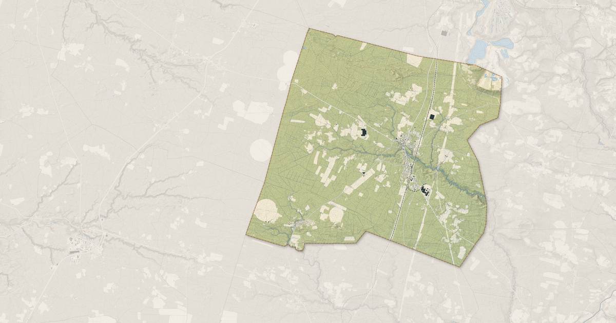 Portrait cartographique de Rion-des-Landes : relief, eau, forêts, bâti et voies, calculés à partir des données de l'IGN