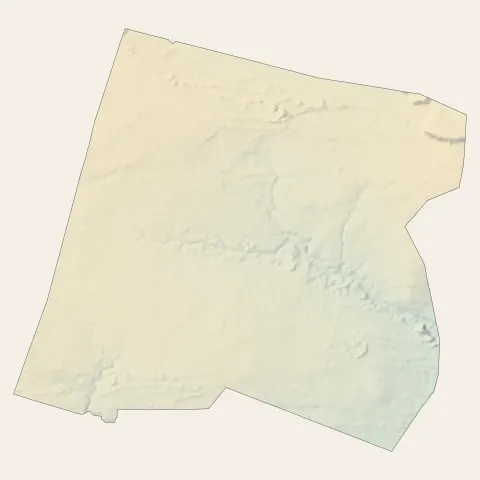 Rion-des-Landes : relief