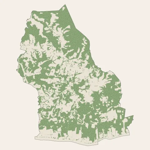 Saint-Martin-de-Seignanx : bois, forêts et landes