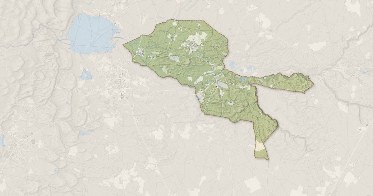 Portrait cartographique de Saint-Michel-Escalus : relief, eau, forêts, bâti et voies, calculés à partir des données de l'IGN