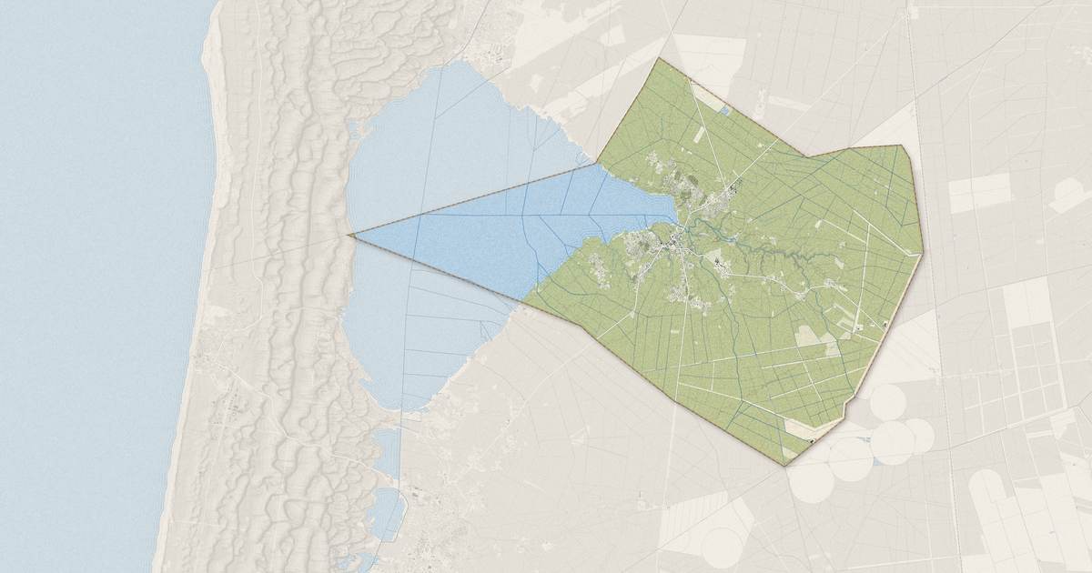 Portrait cartographique de Sanguinet : relief, eau, forêts, bâti et voies, calculés à partir des données de l'IGN