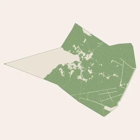 Sanguinet : bois, forêts et landes