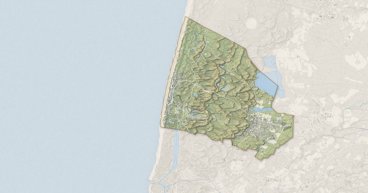 Portrait cartographique de Seignosse : relief, eau, forêts, bâti et voies, calculés à partir des données de l'IGN