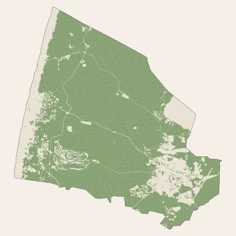 Seignosse : bois, forêts et landes