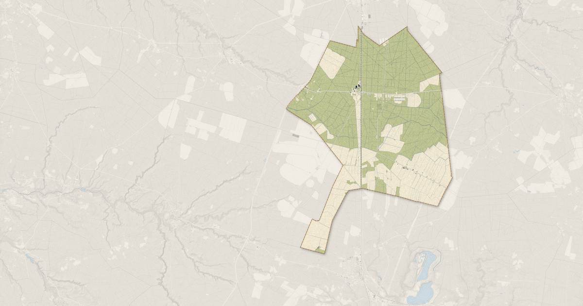Portrait cartographique de Solférino : relief, eau, forêts, bâti et voies, calculés à partir des données de l'IGN