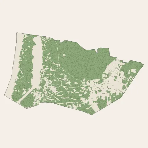 Soorts-Hossegor : bois, forêts et landes