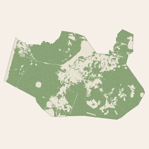 Soustons : bois, forêts et landes