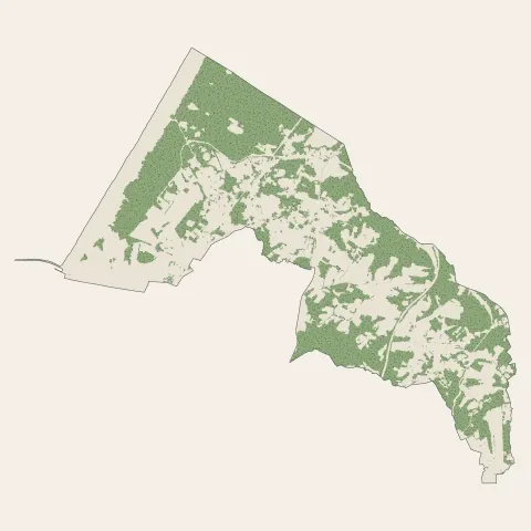 Tarnos : bois, forêts et landes