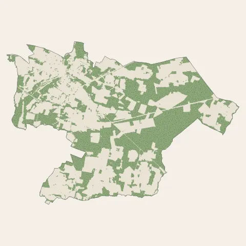 Tartas : bois, forêts et landes