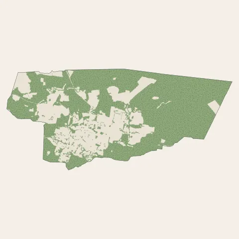 Tosse : bois, forêts et landes