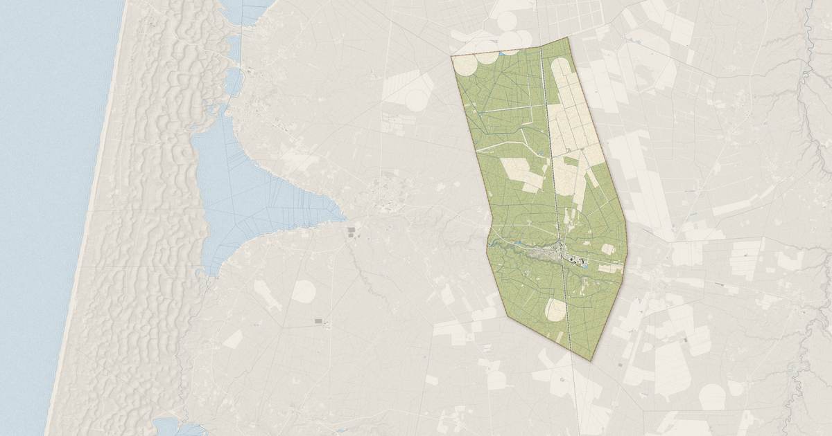 Portrait cartographique de Ychoux : relief, eau, forêts, bâti et voies, calculés à partir des données de l'IGN