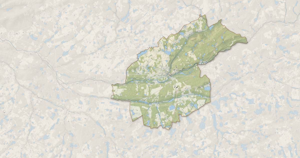 Portrait cartographique de Neung-sur-Beuvron : relief, eau, forêts, bâti et voies, calculés à partir des données de l'IGN