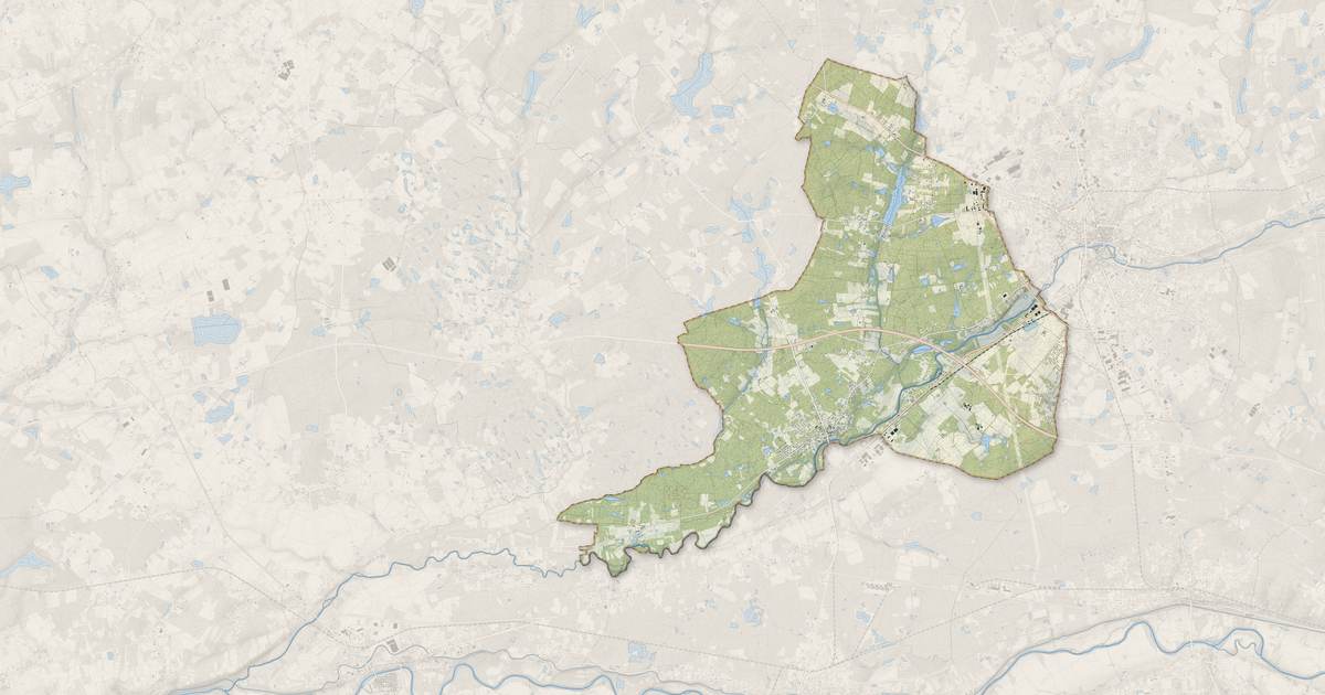 Portrait cartographique de Pruniers-en-Sologne : relief, eau, forêts, bâti et voies, calculés à partir des données de l'IGN