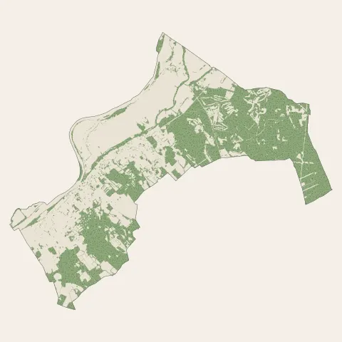 Saint-Laurent-Nouan : bois, forêts et landes