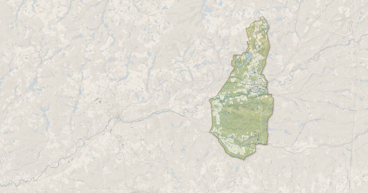 Portrait cartographique de Selles-Saint-Denis : relief, eau, forêts, bâti et voies, calculés à partir des données de l'IGN