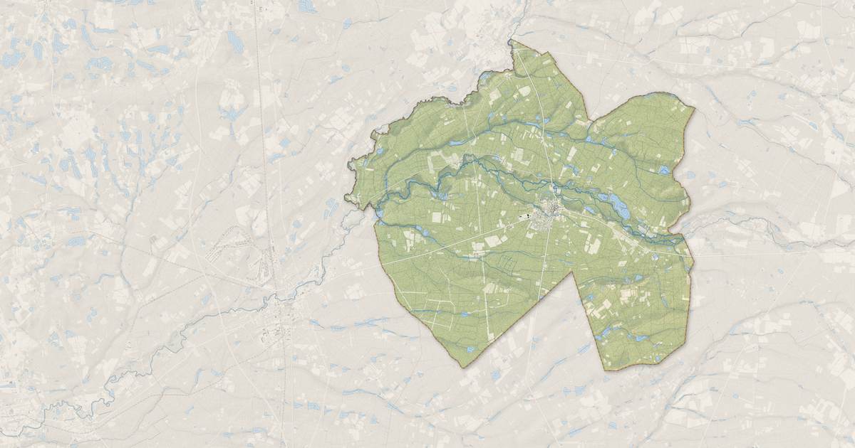 Portrait cartographique de Souesmes : relief, eau, forêts, bâti et voies, calculés à partir des données de l'IGN