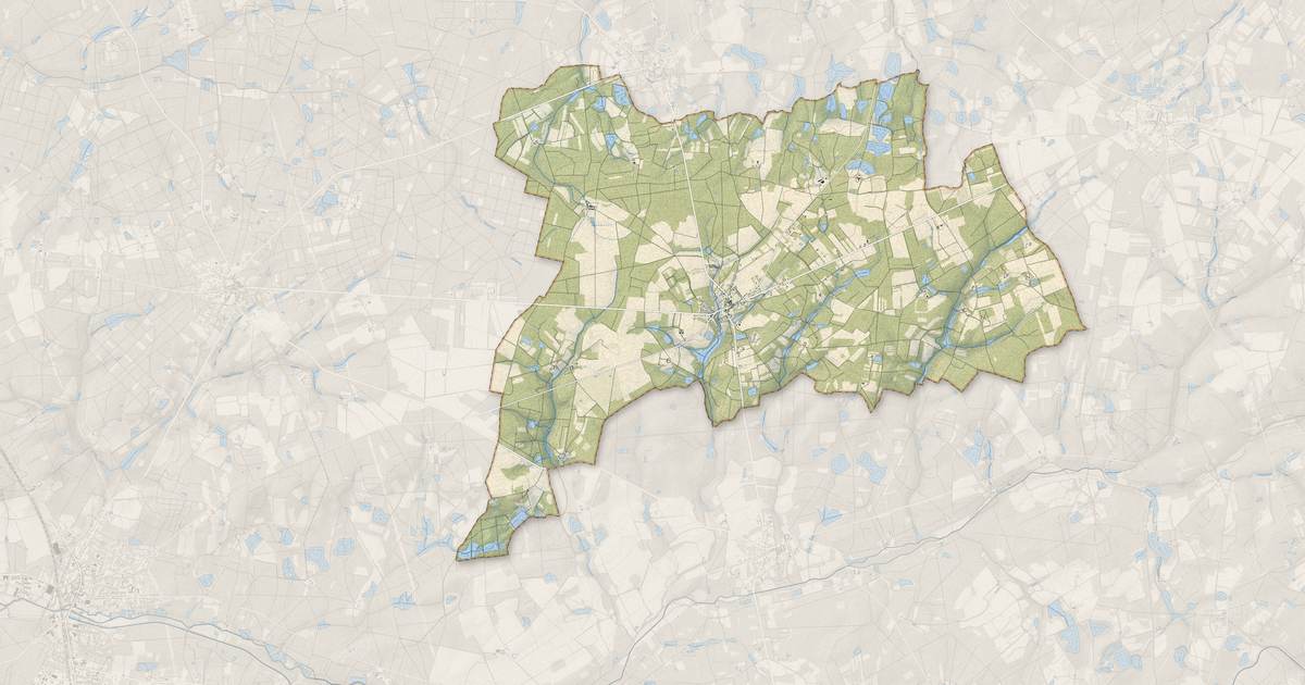 Portrait cartographique de Souvigny-en-Sologne : relief, eau, forêts, bâti et voies, calculés à partir des données de l'IGN