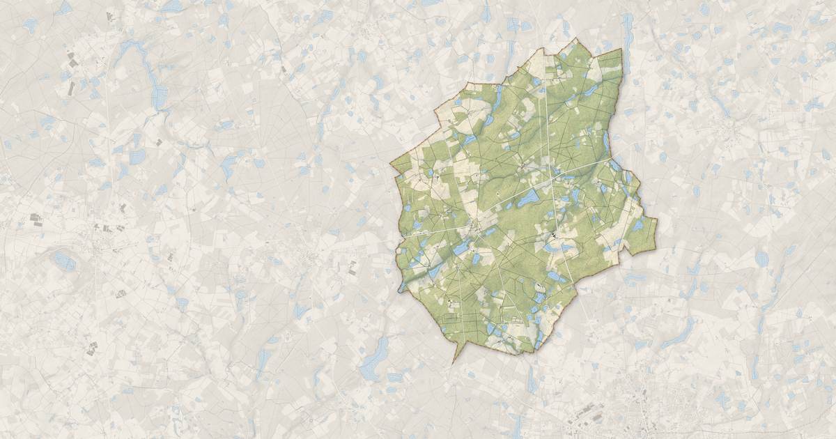 Portrait cartographique de Veilleins : relief, eau, forêts, bâti et voies, calculés à partir des données de l'IGN