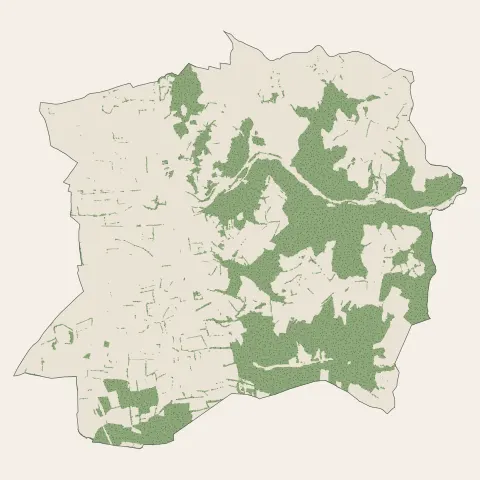 Bellegarde-en-Forez : bois, forêts et landes
