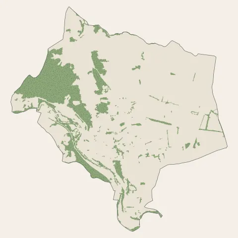 Boën-sur-Lignon : bois, forêts et landes