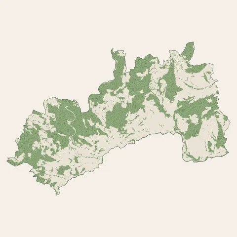Bourg-Argental : bois, forêts et landes